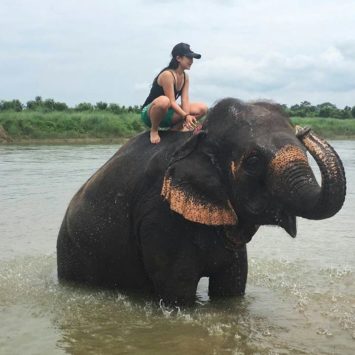 elephant safari in chitwan