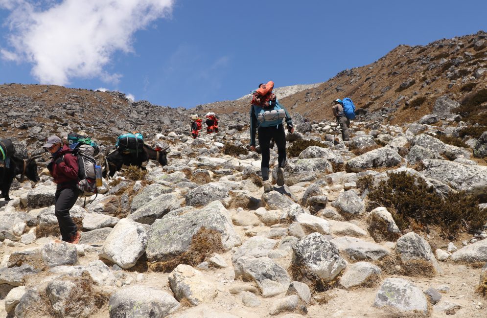 Trekking in Nepal in spring