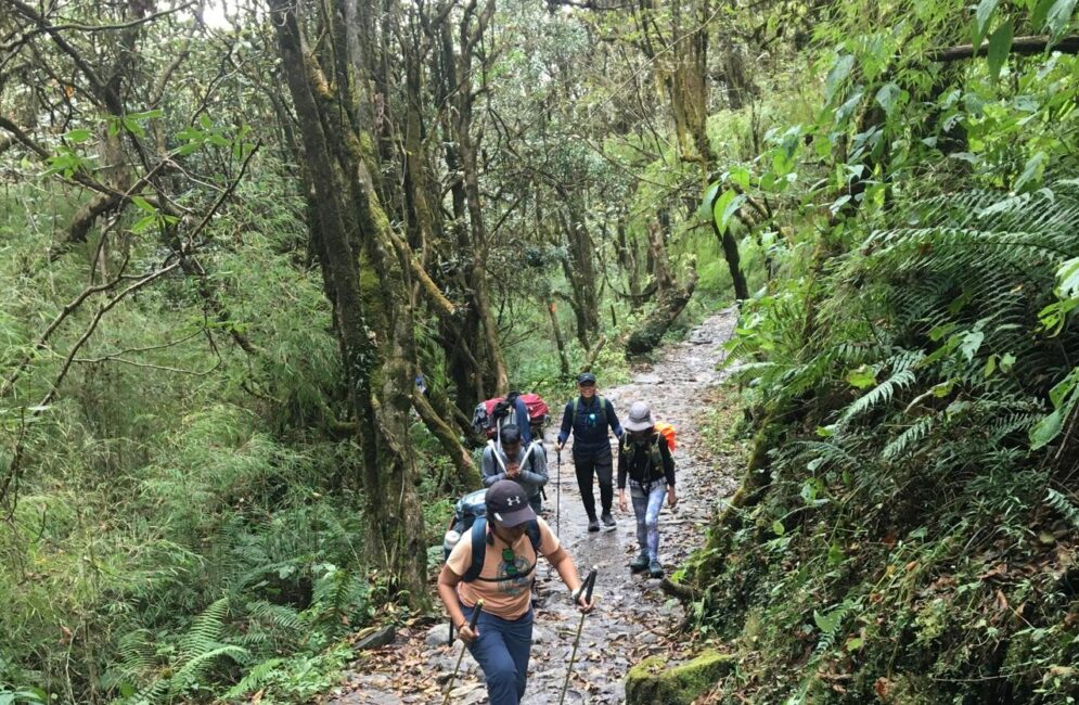 Kathmandu day hiking