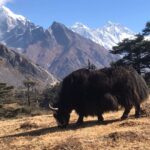 Nepal Best Trekking Season